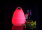 La lanterna a pile di plastica del LED accende il colore di RGB che cambia con la maniglia portatile fornitore