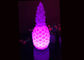 Decorazione cambiante della camera da letto di illuminazione della lampada da tavolo della luce di umore dell'ananas di colore del LED fornitore