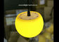 La palla del pendente LED negozio/della casa si accende con i colori Dmx di RGBW via il regolatore fornitore