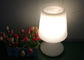 Potenza della batteria decorativa delle lampade da tavolo di uso LED della mobilia di Antivari con la funzione di attenuazione fornitore